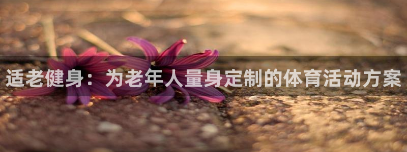 搜球体育在线观看：适老健身：为老年人量身定制的体育活动方案