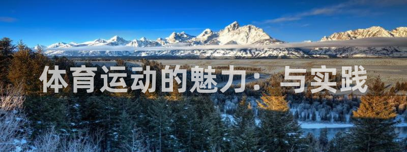 搜球体育官网首页：体育运动的魅力：与实践