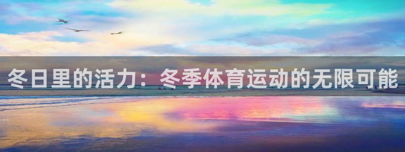 搜球体育官网网址：冬日里的活力：冬季体育运动的无限可能