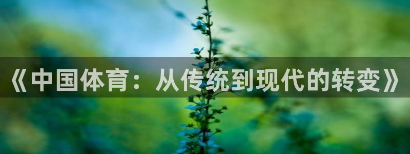 搜球体育CBA：《中国体育：从传统到现代的转变》