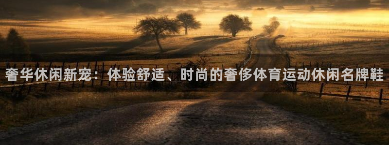 搜球体育CCT5：奢华休闲新宠：体验舒适、时尚的奢侈体育运动休闲名牌鞋