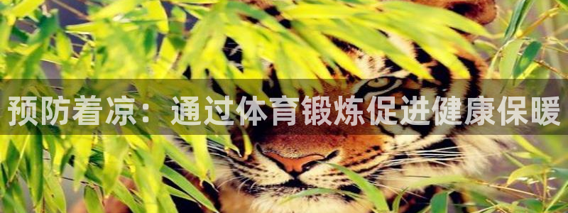 搜球体育下载：预防着凉：通过体育锻炼促进健康保暖