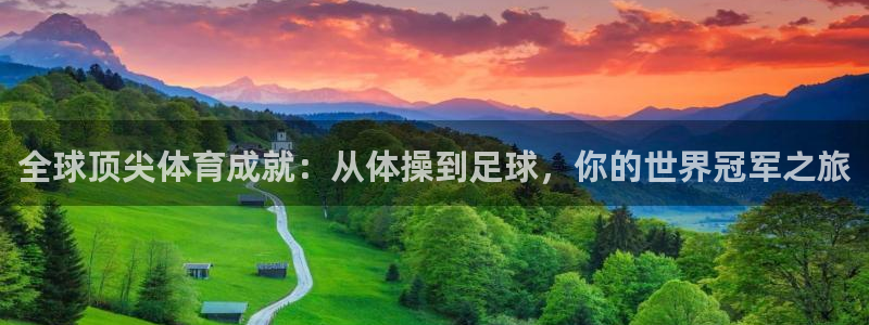 搜球体育NBA：全球顶尖体育成就：从体操到足球，你的世界冠军之旅