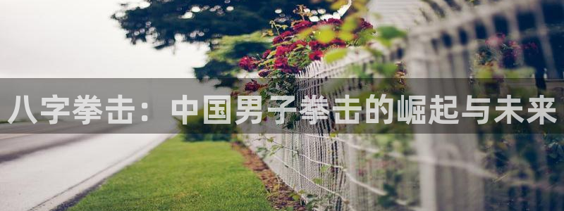 搜球体育足球：八字拳击：中国男子拳击的崛起与未来
