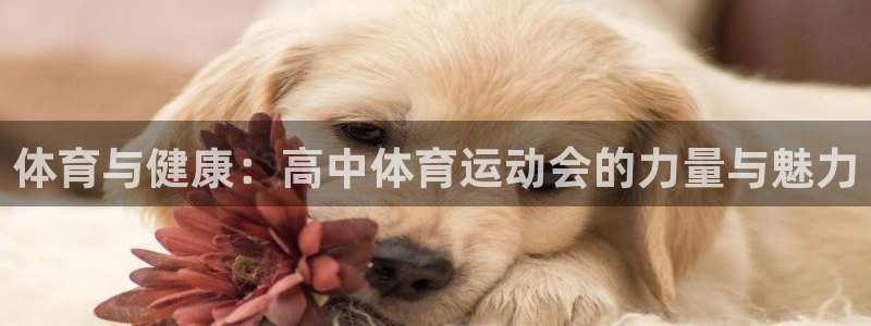 搜球体育app官网入口：体育与健康：高中体育运动会的力量与魅力