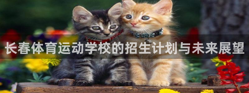 搜球体育app官方版下载：长春体育运动学校的招生计划与未来展望